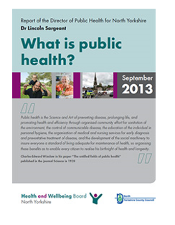 DPH report 2013.PNG