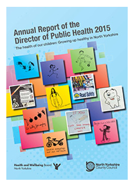 DPH report 2015.PNG