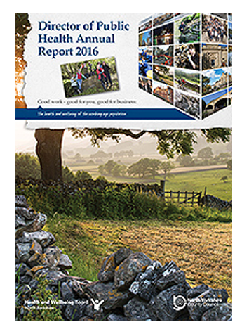 DPH report 2016.PNG